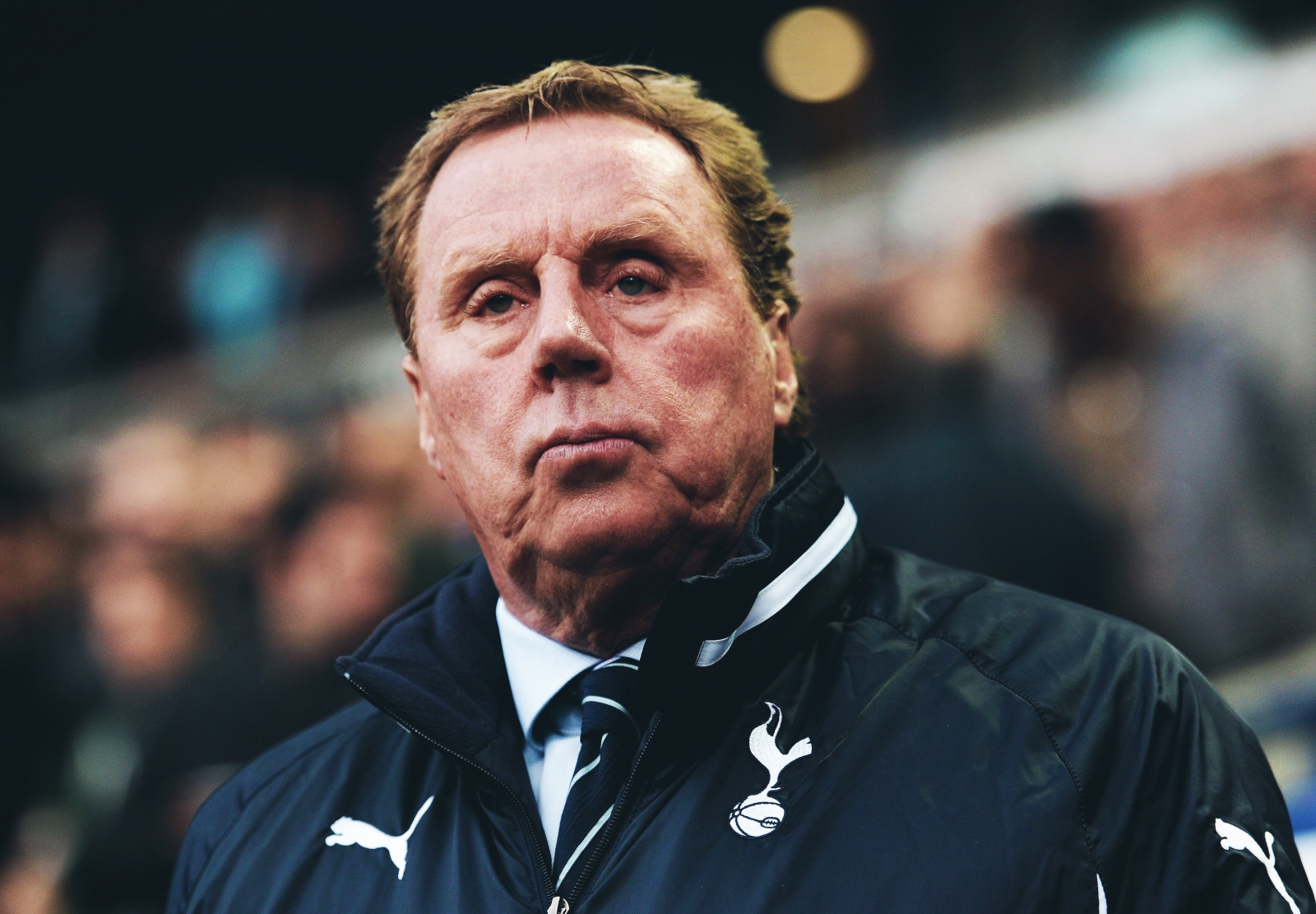 harry redknapp