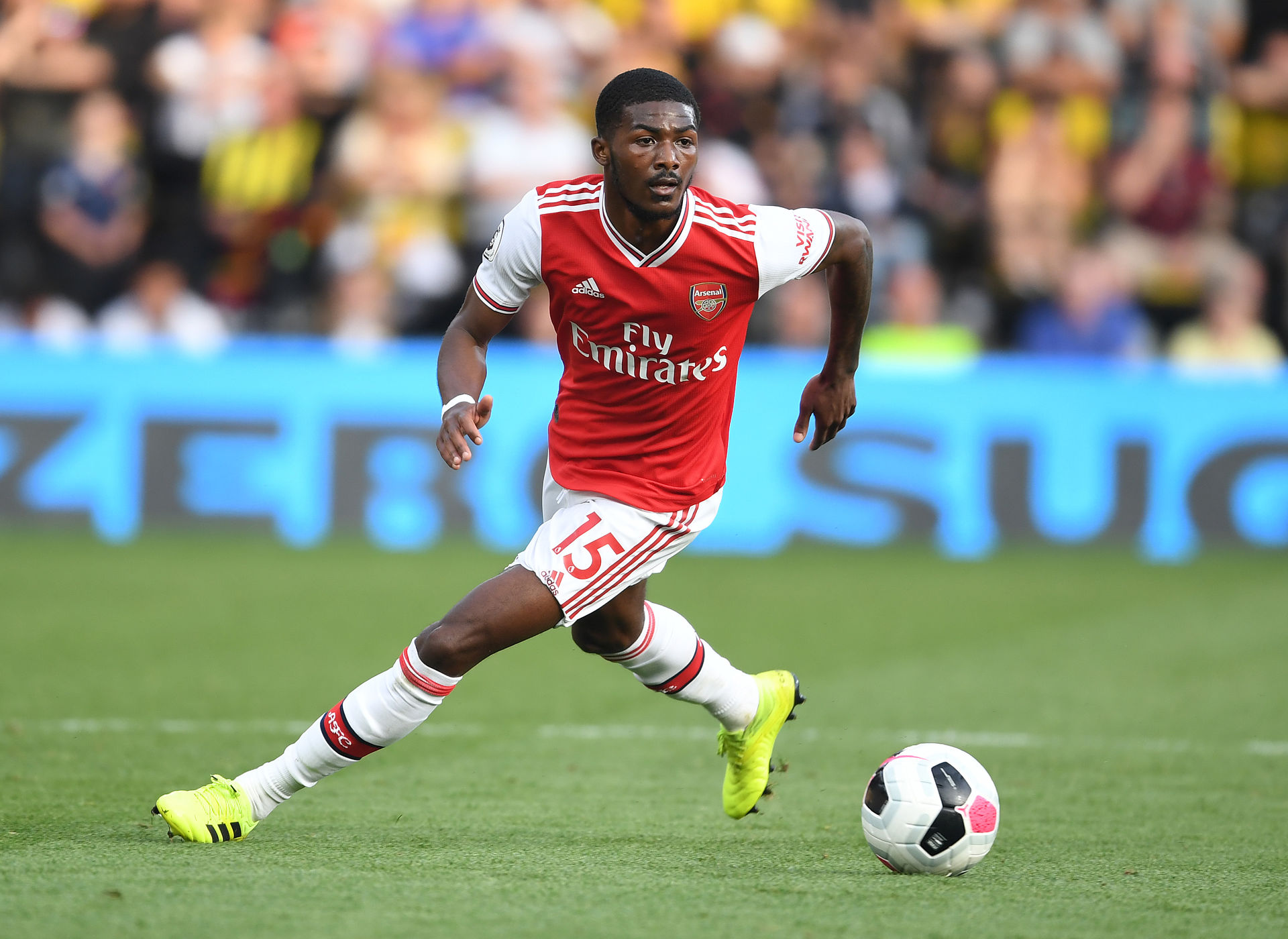 ainsley maitland niles